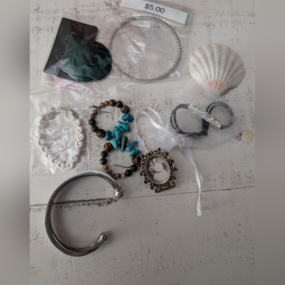 Random Jewelry Lot And Shell